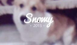 吃瓜少女喵娱乐